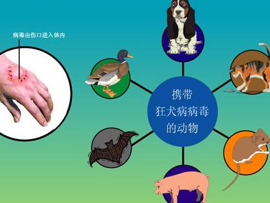 lQLPJyArUn6MzVXNASjNAYqwRDqmpykrnYcIw5BqxDbyAA_394_296